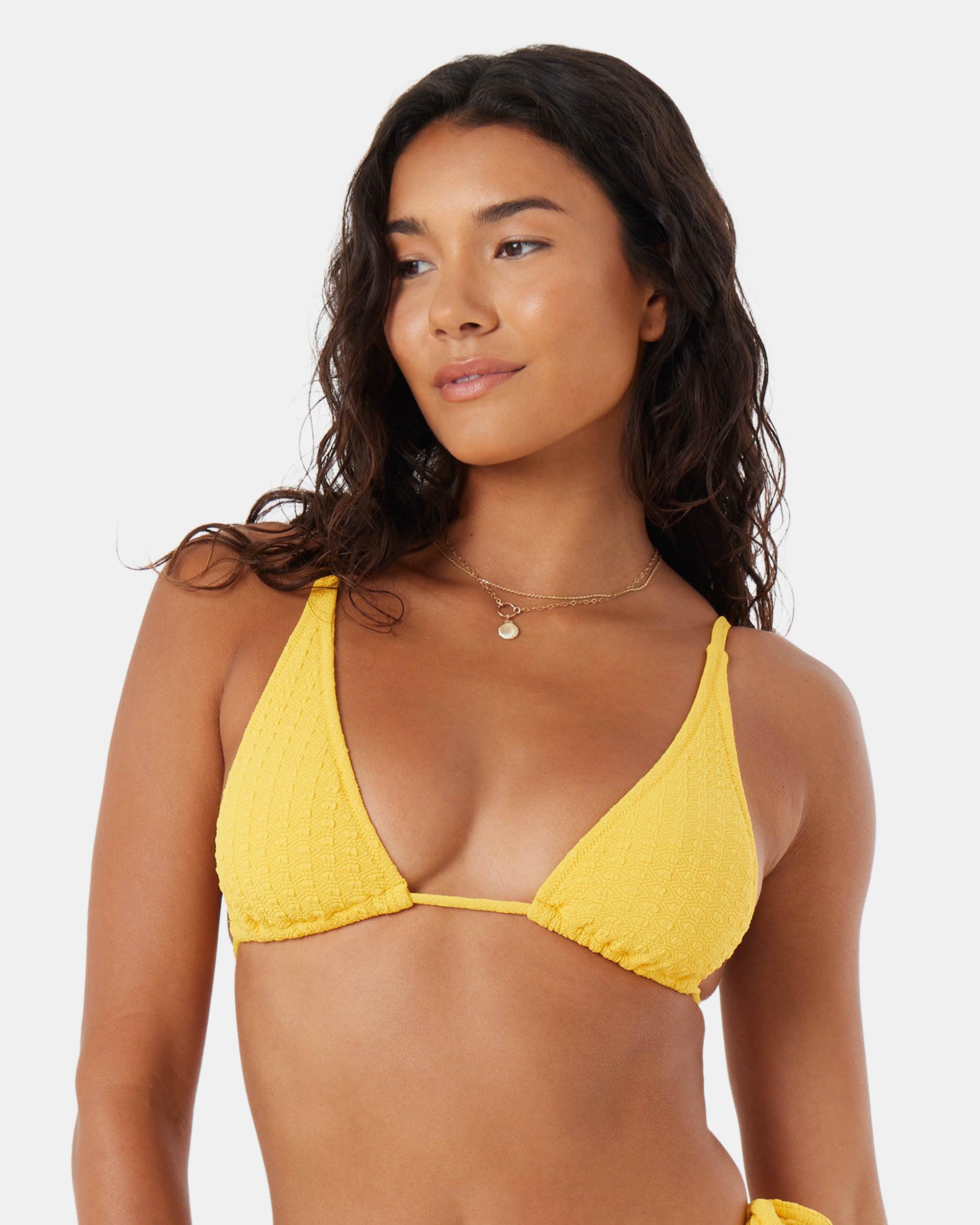 Haleiwa Built Up Triangle Bikini Top