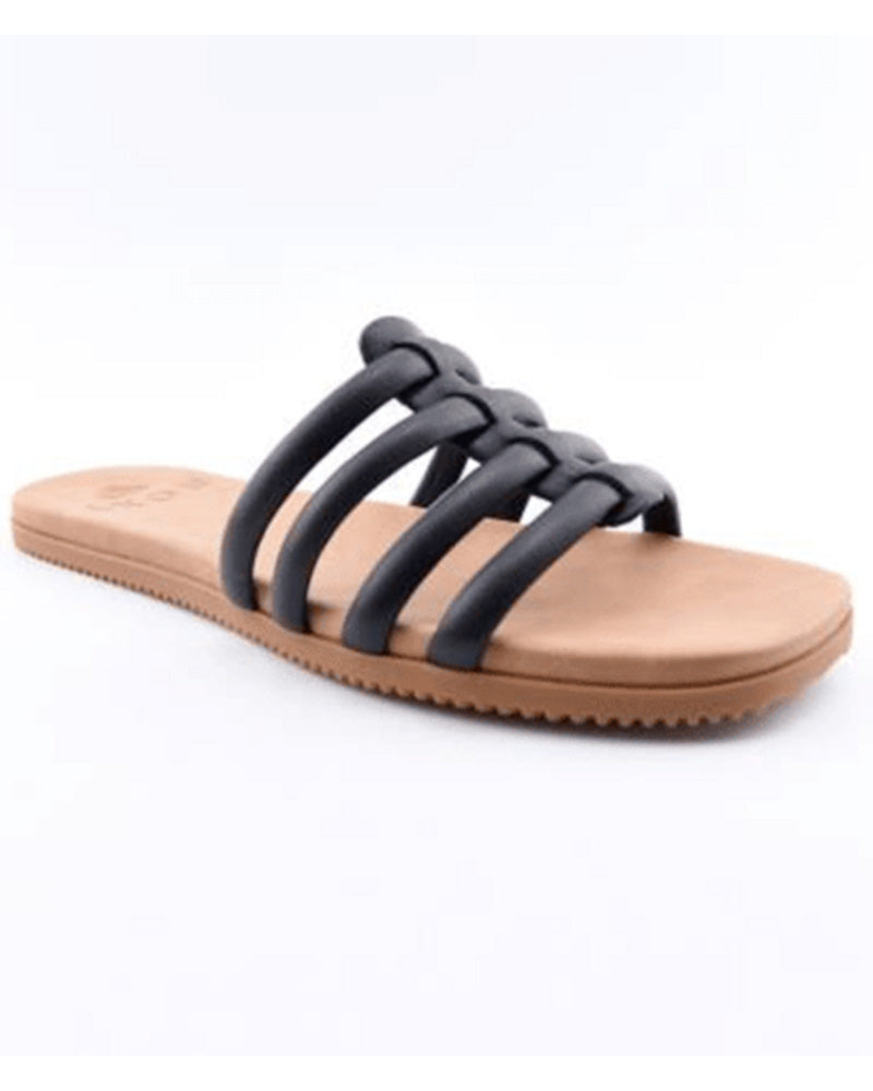 Stellar Slip On Sneaker